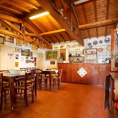 La Dimora Degli Etruschi Hostel Civitella Cesi Екстериор снимка