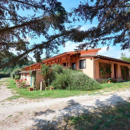 La Dimora Degli Etruschi Hostel Civitella Cesi Екстериор снимка