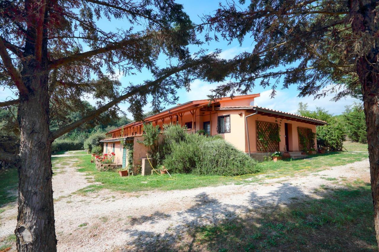 La Dimora Degli Etruschi Hostel Civitella Cesi Екстериор снимка
