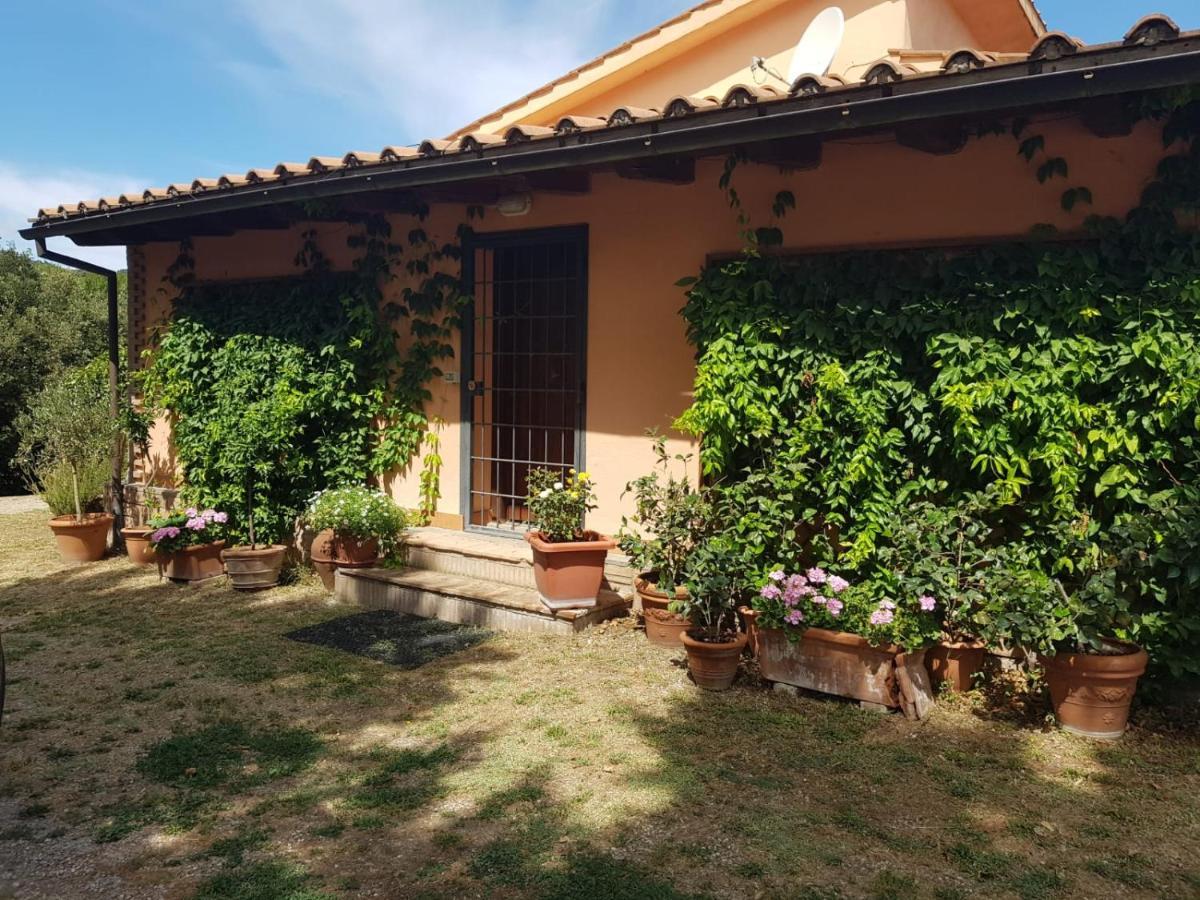 La Dimora Degli Etruschi Hostel Civitella Cesi Екстериор снимка