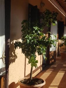 La Dimora Degli Etruschi Hostel Civitella Cesi Екстериор снимка